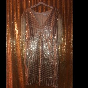 Fringe Sequin Dress